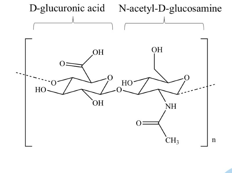 ACIDO IALURONICO (HA) 
